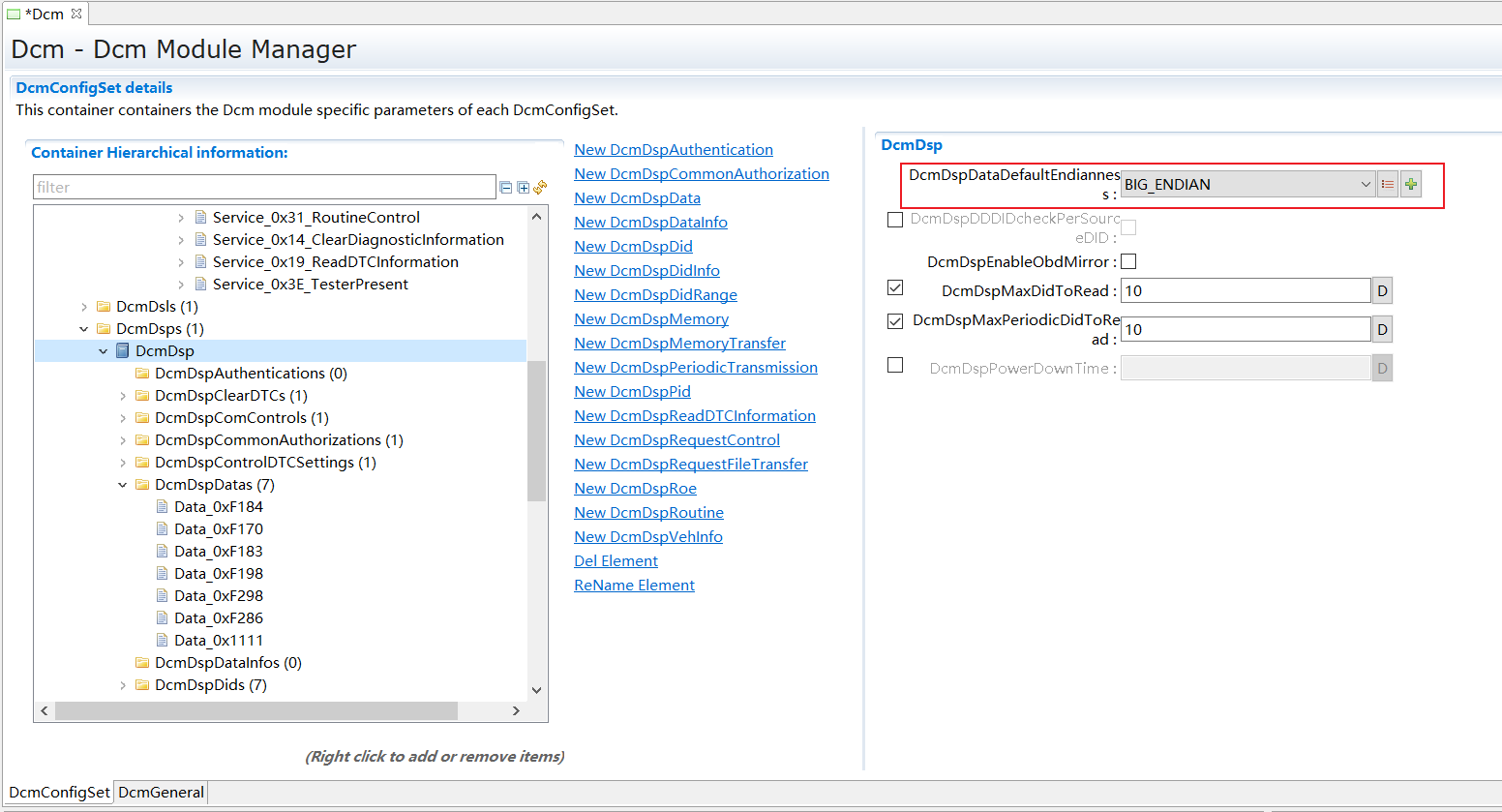 DcmDspDataDefaultEndianness
